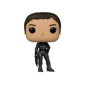 Funko Pop! DC Batman Selina Kyle Chase Variant #1190